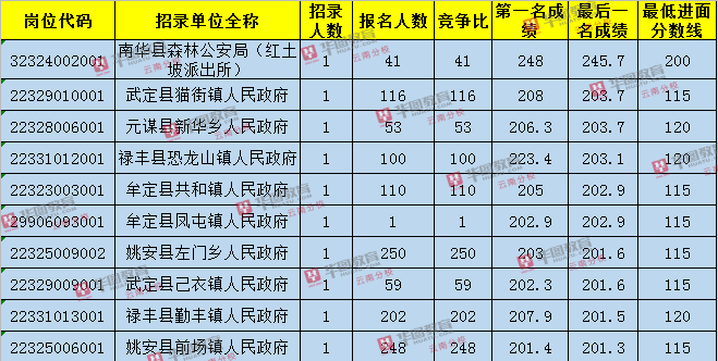 楚雄招聘网最新招聘,楚雄招聘网最新招聘动态及其影响