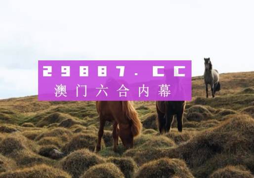 新澳门开奖结果+开奖结果,新澳门开奖结果，探索开奖数据的魅力