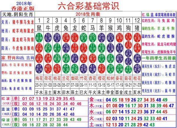 2024澳门正版资料大全资料生肖卡,澳门正版资料大全资料生肖卡，探寻生肖文化的魅力与未来展望