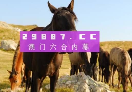 企业文化 第31页