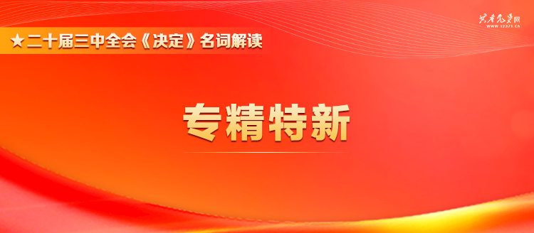 新澳精准资料大全免费,新澳精准资料大全免费，探索与解读