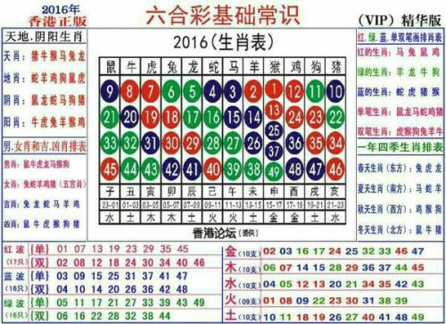 2025十二生肖49码表,揭秘十二生肖与数字49的奇妙结合——2025年十二生肖49码表详解