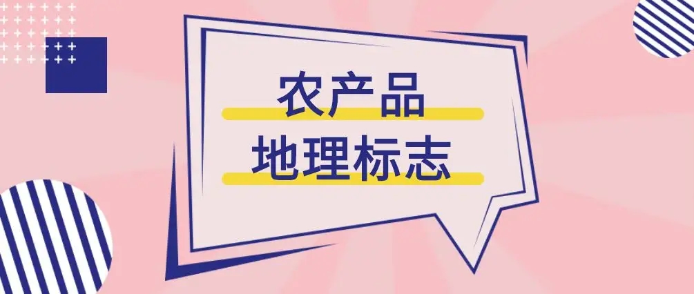 2025正板资料免费公开,迈向公开透明的未来，2025正板资料的免费公开及其影响