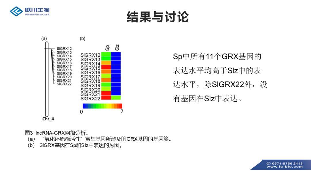 2025全年資料免費,迈向2025，全年资料免费共享的时代