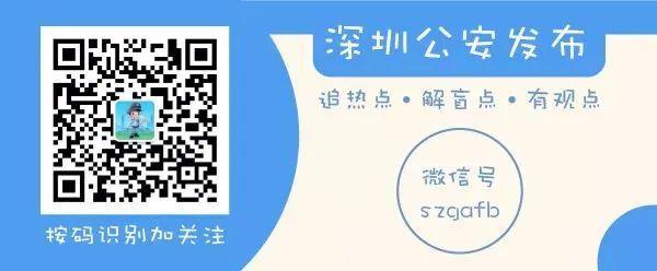 内部资料一肖一码,内部资料一肖一码，揭秘其背后的秘密与价值