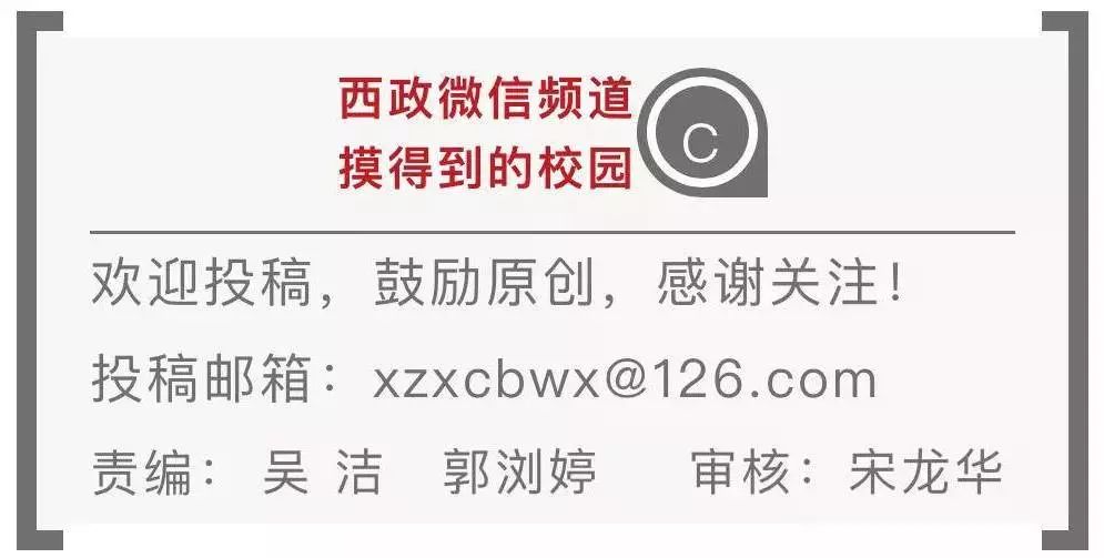 新奥门特免费资料大全今天的图片103期 07-22-29-33-34-38V：41,新澳门特免费资料大全，探索今日图片103期的奥秘与魅力