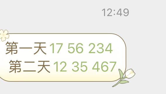 澳门今晚开特马+开奖结果课049期 02-04-09-25-28-45R：48,澳门今晚开特马，开奖结果课第049期的探索与期待